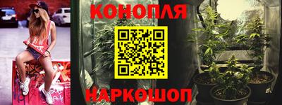 сатива Гусиноозёрск