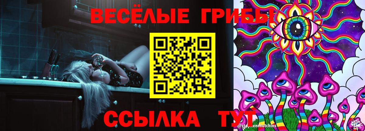 Псилоцибиновые грибы прущие грибы  Вход с VPN  Нововоронеж  Галлюциногенные грибы мицелий 